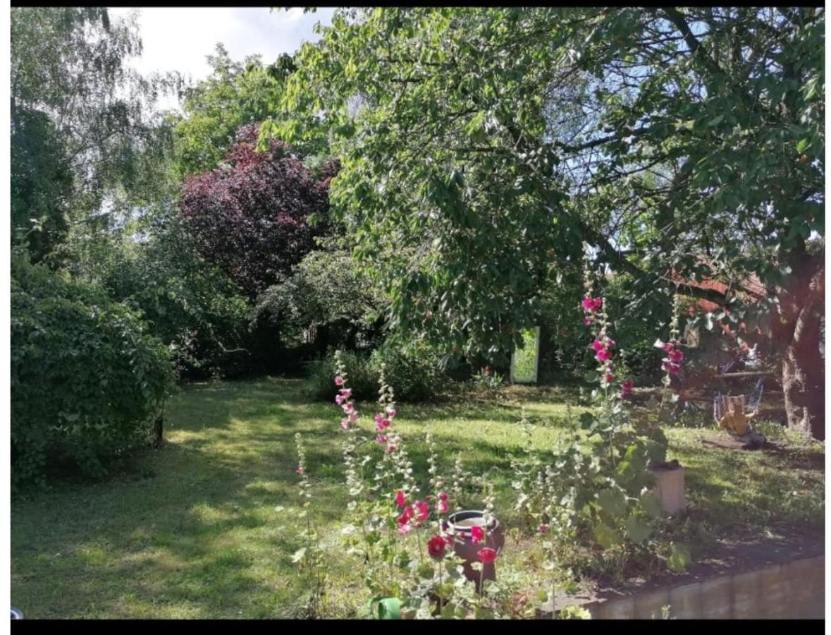 Geraeumiges 120M² Haus Mit Garten + Stellplatz ชตราลซุนด์ ภายนอก รูปภาพ